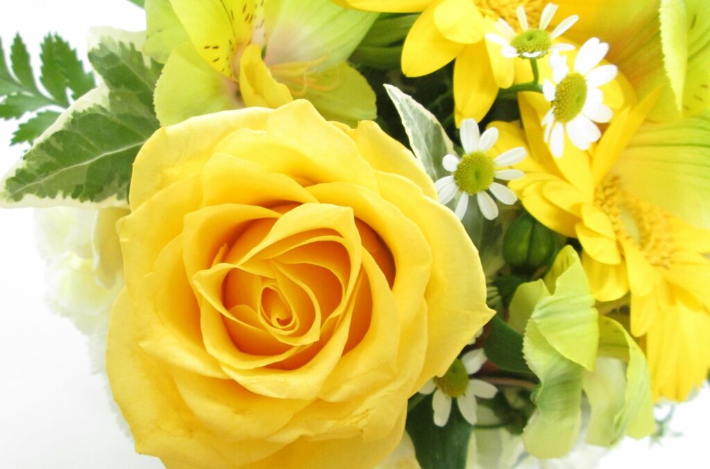 黄色の薔薇の花束