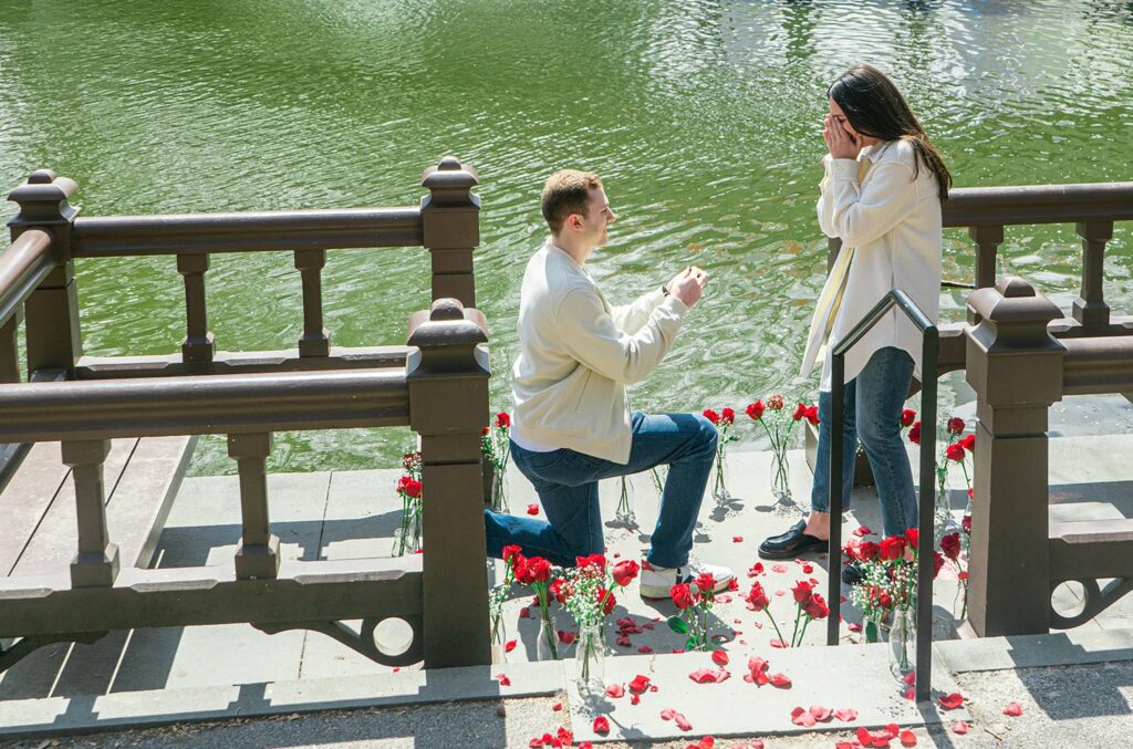 薔薇の花とプロポーズするイメージ